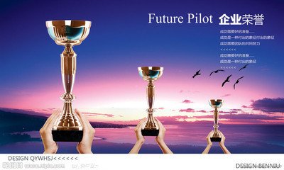 企業(yè)榮譽(yù) 企業(yè)榮譽(yù)